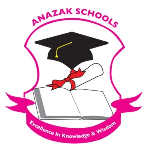 Read more about the article School Nurse at Anazak Pre and Primary School December, 2023