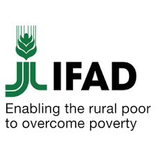 Read more about the article Driver/Clerk – G-3 at IFAD June, 2023