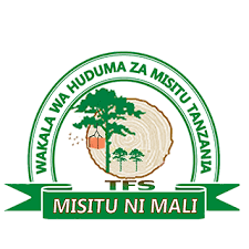 You are currently viewing Laboratory Technologist II at Tanzania Forest Services (TFS)- Sao hill Forest Plantation June, 2023