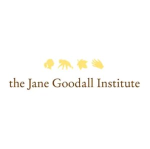 Read more about the article Motor Vehicle Driver at Jane Goodall Institute (JGI) March, 2023