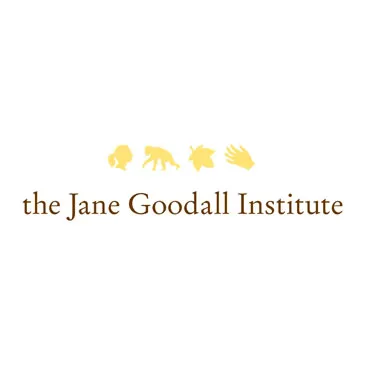 You are currently viewing Motor Vehicle Driver at Jane Goodall Institute (JGI) March, 2023