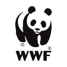 You are currently viewing Mangrove Ecosytems Project Officer- Bengo Project at WWF October, 2023
