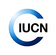 Read more about the article Senior Grants Officer at IUCN December 2024