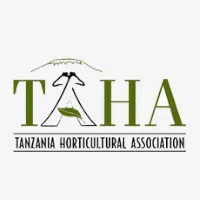 Read more about the article Deputy Chief of Party (DCoP) at TAHA April, 2023
