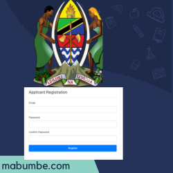 You are currently viewing Ajira Portal: Latest Jobs & Updates in Tanzania 2024