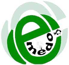 Read more about the article GESI and Safeguarding Officer  at EMEDO October 2024