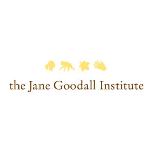 Read more about the article Communications Manager at Jane Goodall October 2024