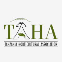 Read more about the article HR and Administration Manager at TAHA April, 2024