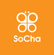 Read more about the article HR Specialist at SoCha October 2024