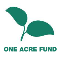 Read more about the article Agroforestry Associate at One Acre Fund November 2024