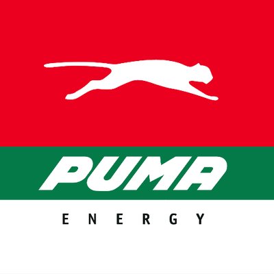 You are currently viewing Head of Commercial at Puma Energy November 2024