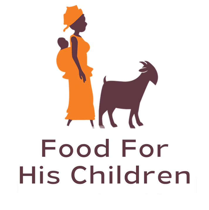 You are currently viewing Field Officer at Food for His Children December 2024