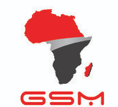 Read more about the article Project Engineer at GSM Group Of Companies February 2025