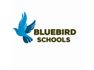 Read more about the article Nursery Teacher 1 at luebird Schools February 2025