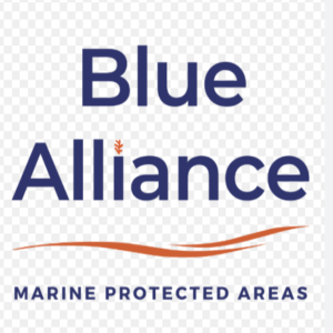 Read more about the article 2 Job Vacancies Released Feb 2025 – Blue Alliance